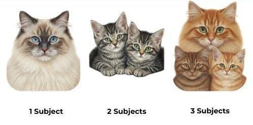 Coloured Pet Portrait Guide