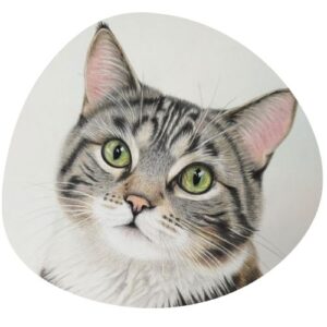 Pet Portraits by Fairy Touch by Bhashi