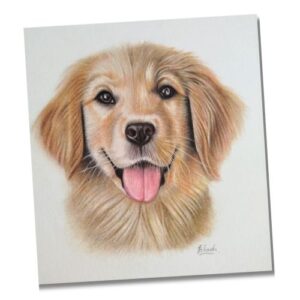 Buttercup by Fairy Touch by Bhashi