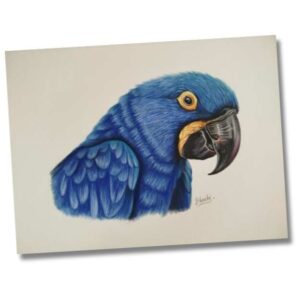 Winged Radiance by Fairy Touch by Bhashi